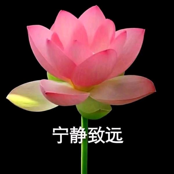 宁静致远a