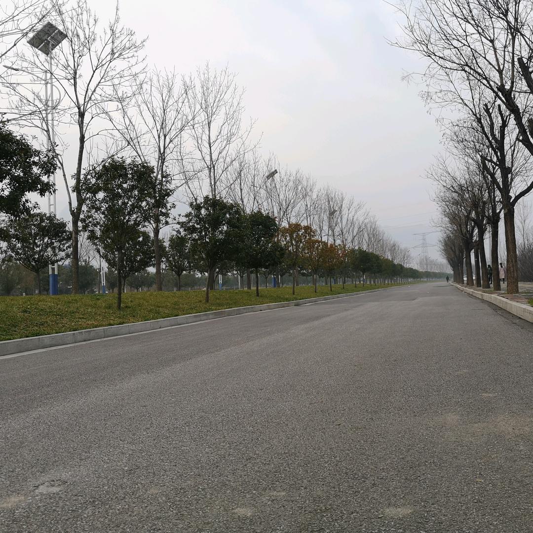 明年见