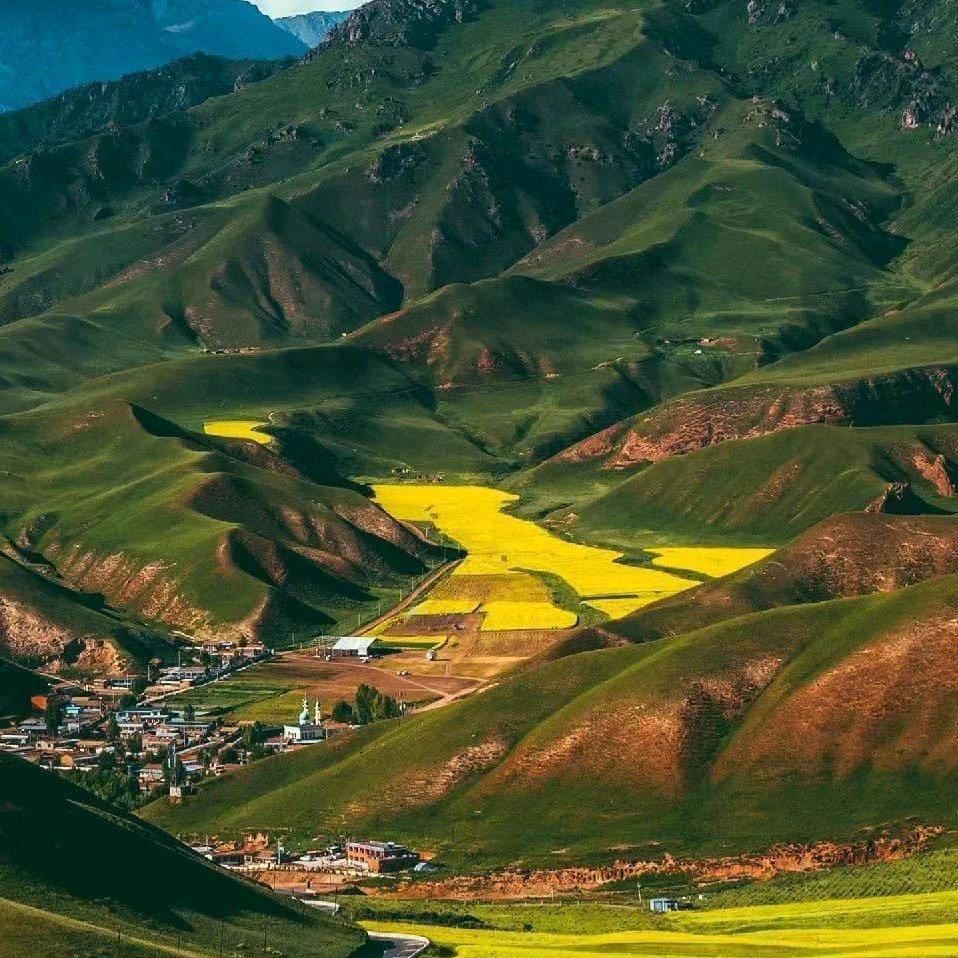 梧桐深院锁清秋