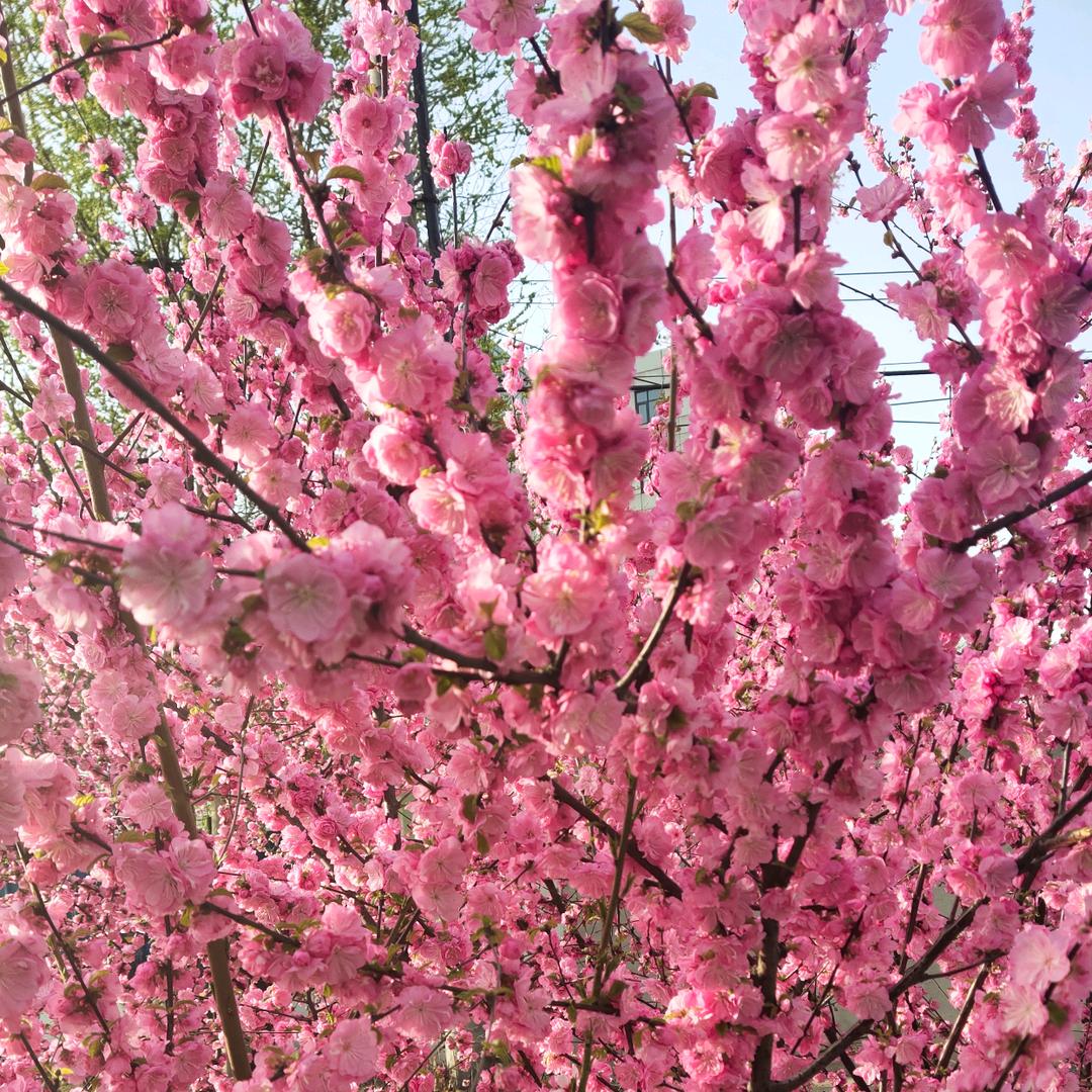 铝合金天沟落水管