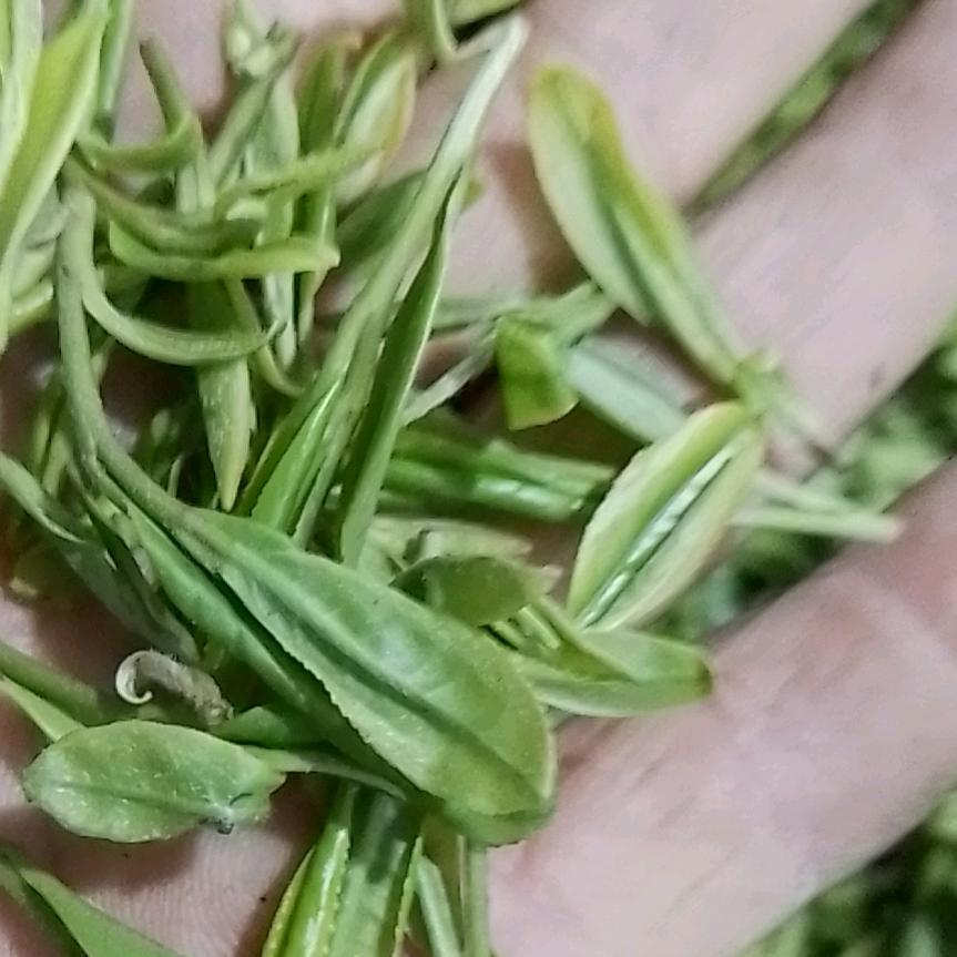 林一刀