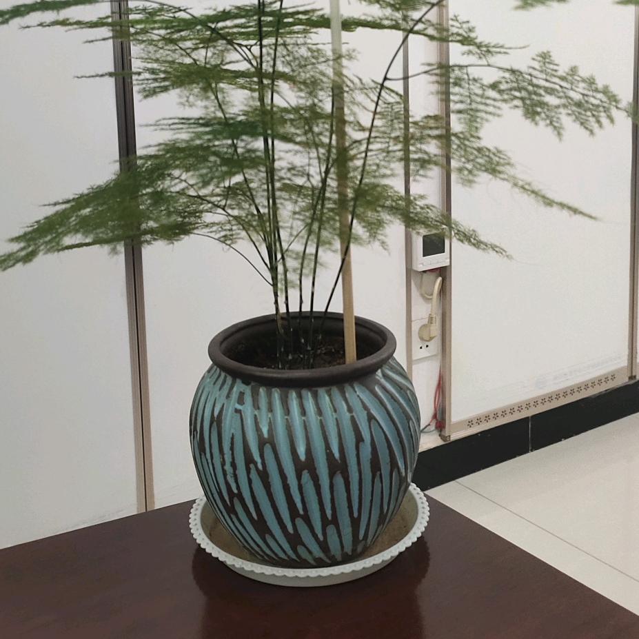 时光似箭