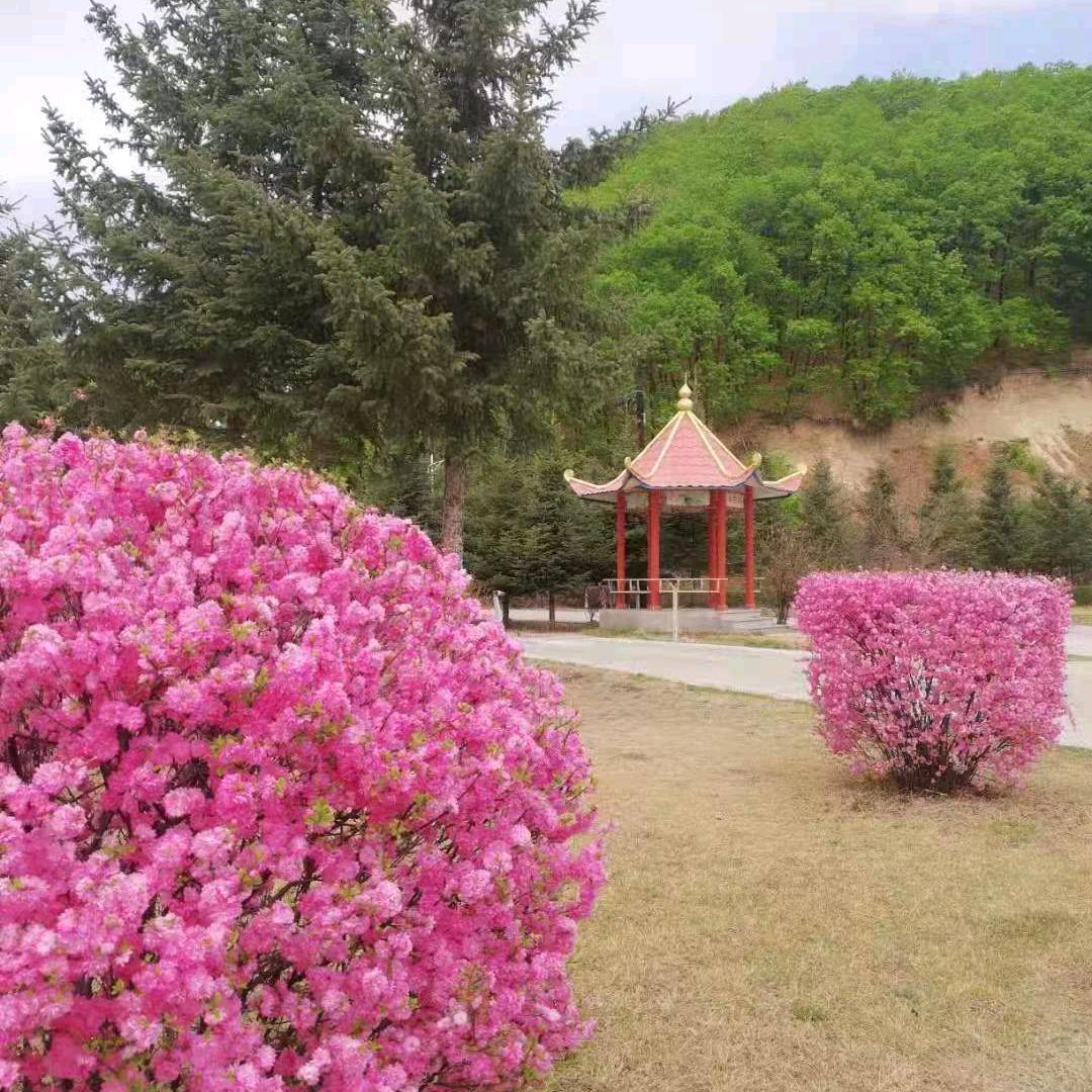玲姐🌹