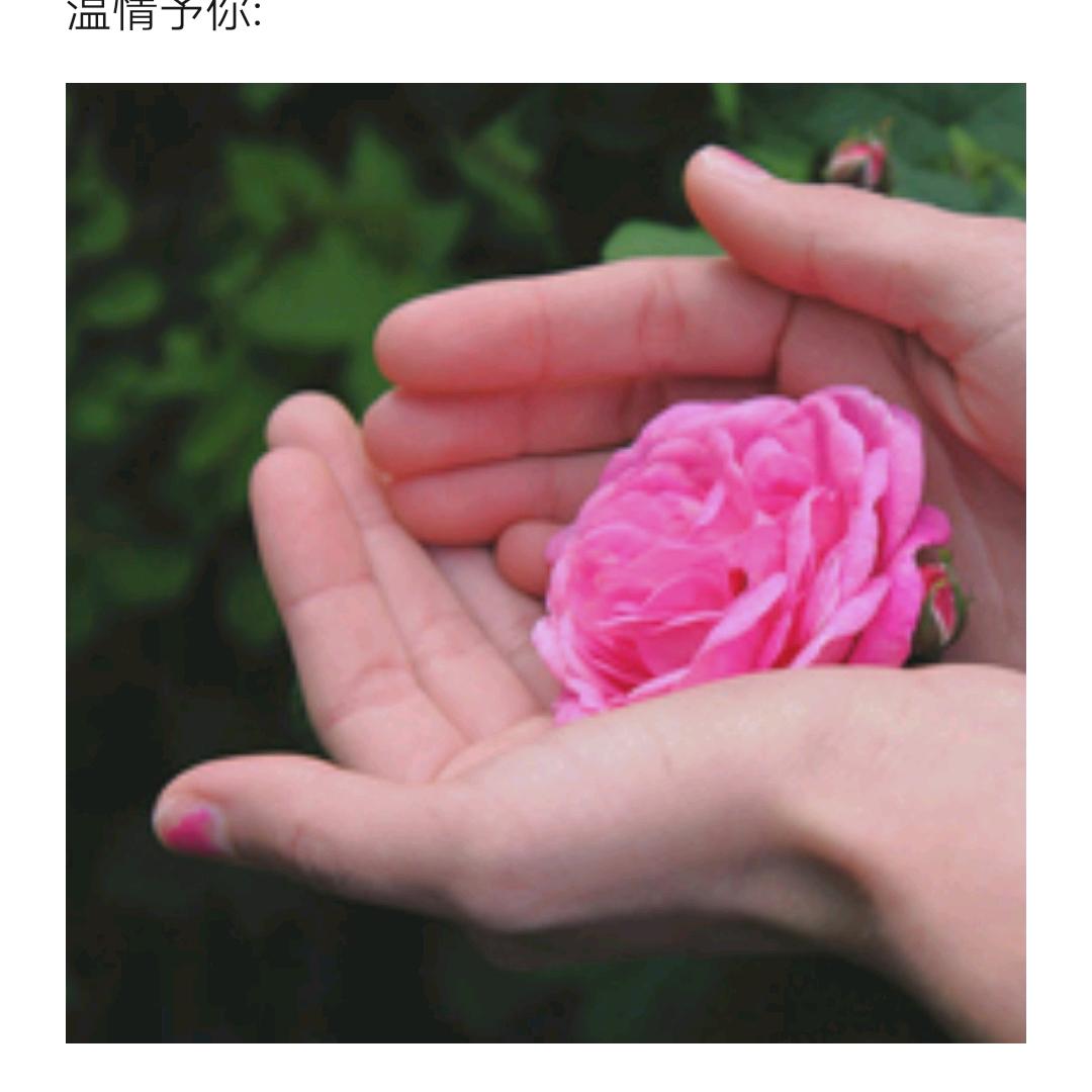 多情予你