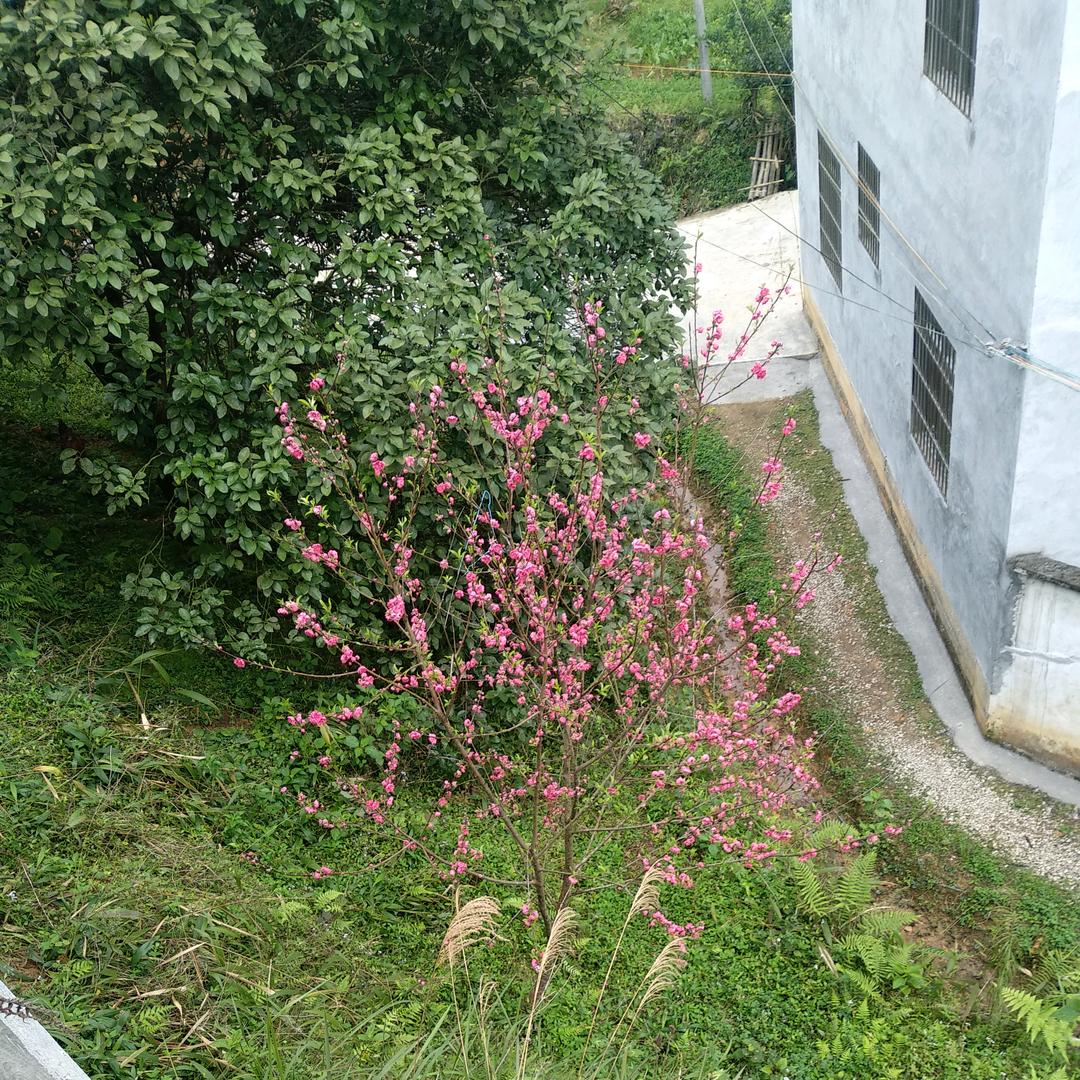 正