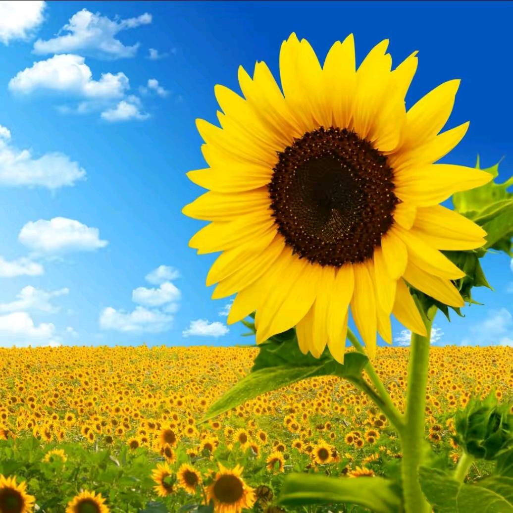 ღ᭄💞初见এღ᭄ 💞