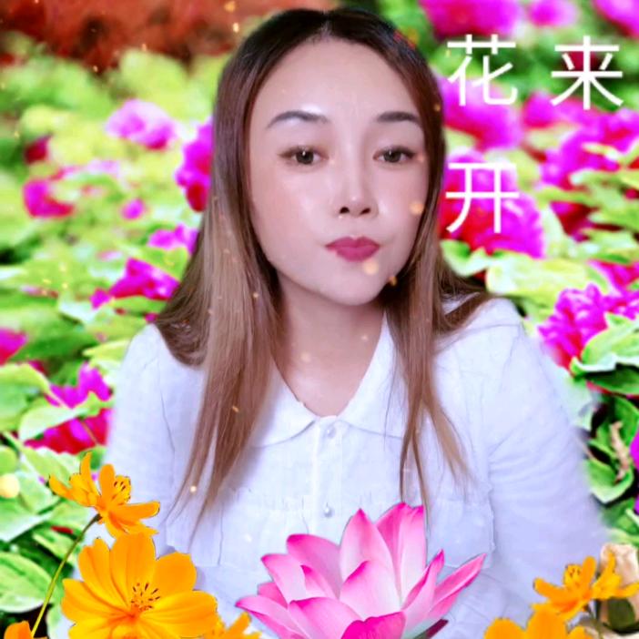 若雪🌸