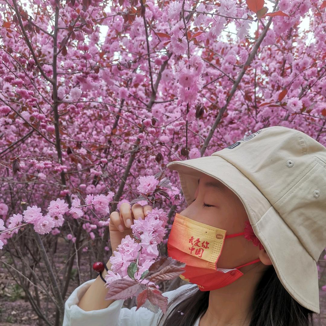李 上网来