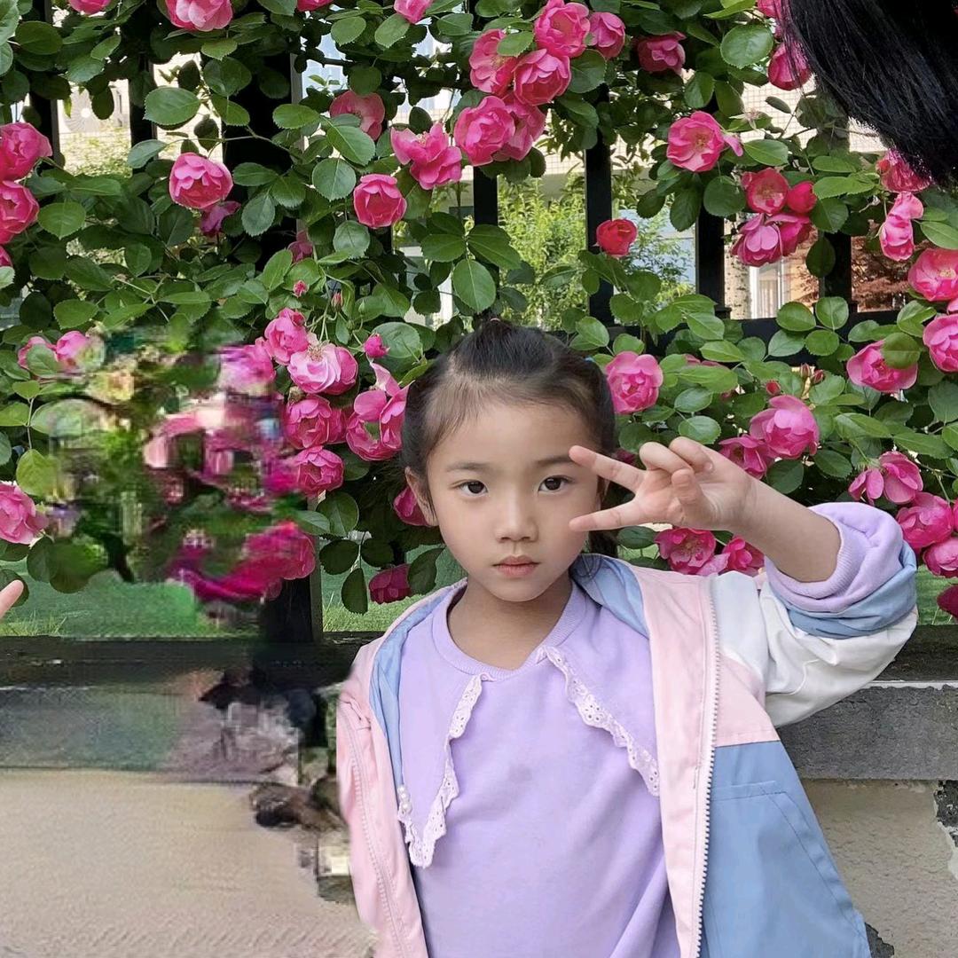 笨笨兔（拒绝连赞）