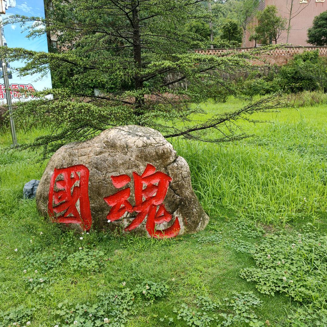 期待