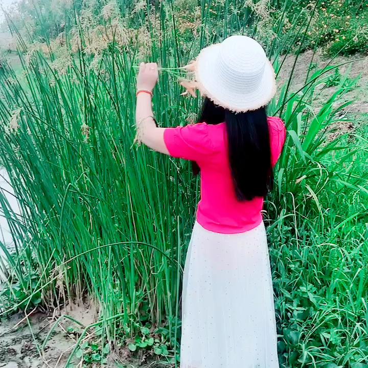 美美哒