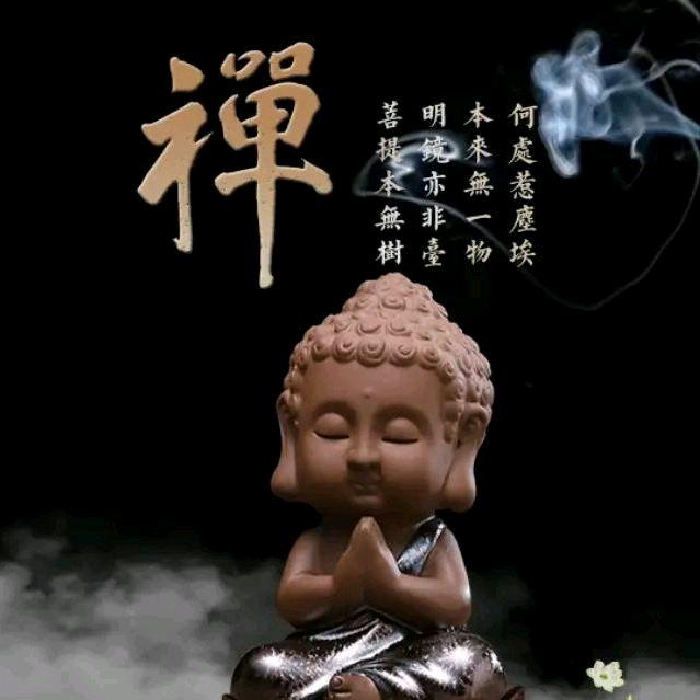 修行者替天行道