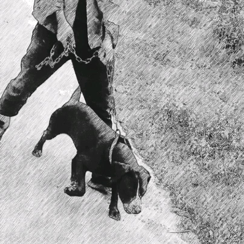 🚶小高🚶🚶🚶