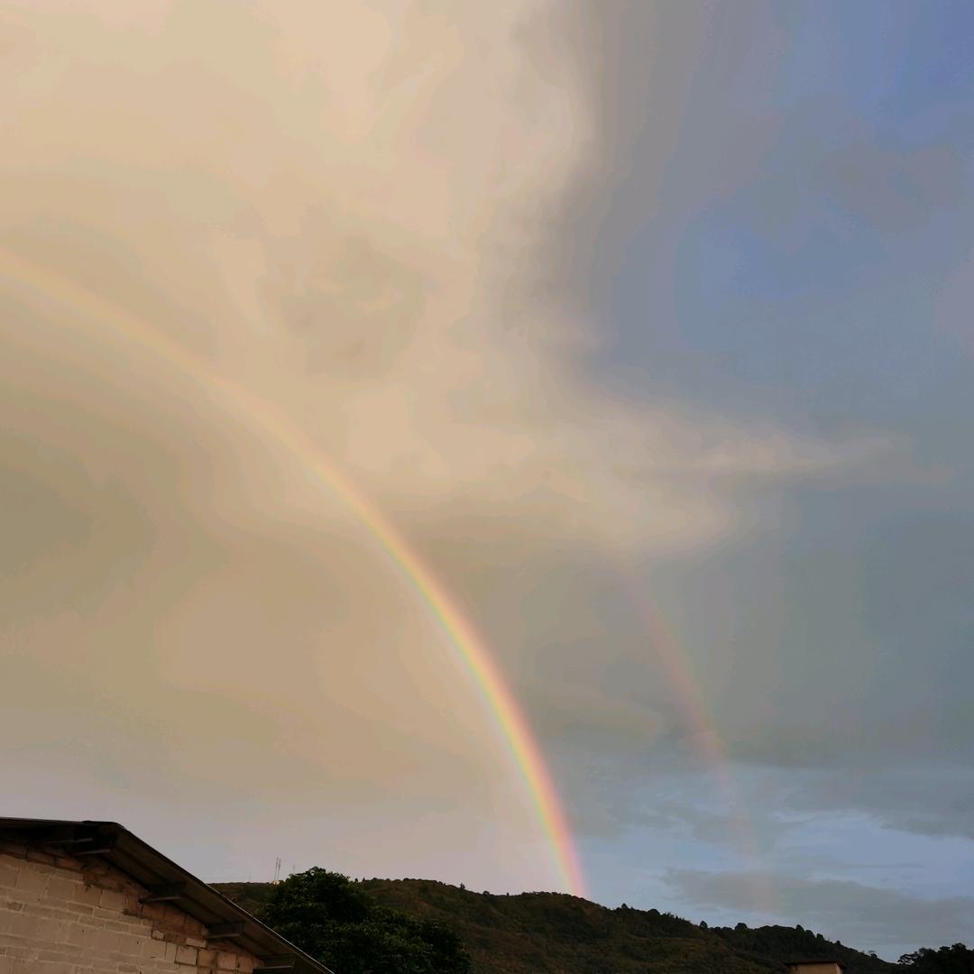 🌈金茗🌈