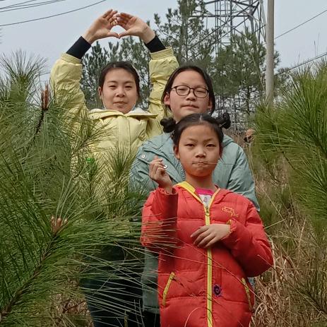 兰草(拒绝私聊)李家三千金