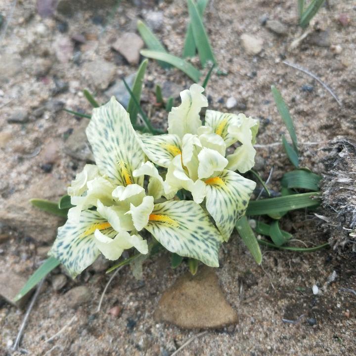 打工是可能打工的