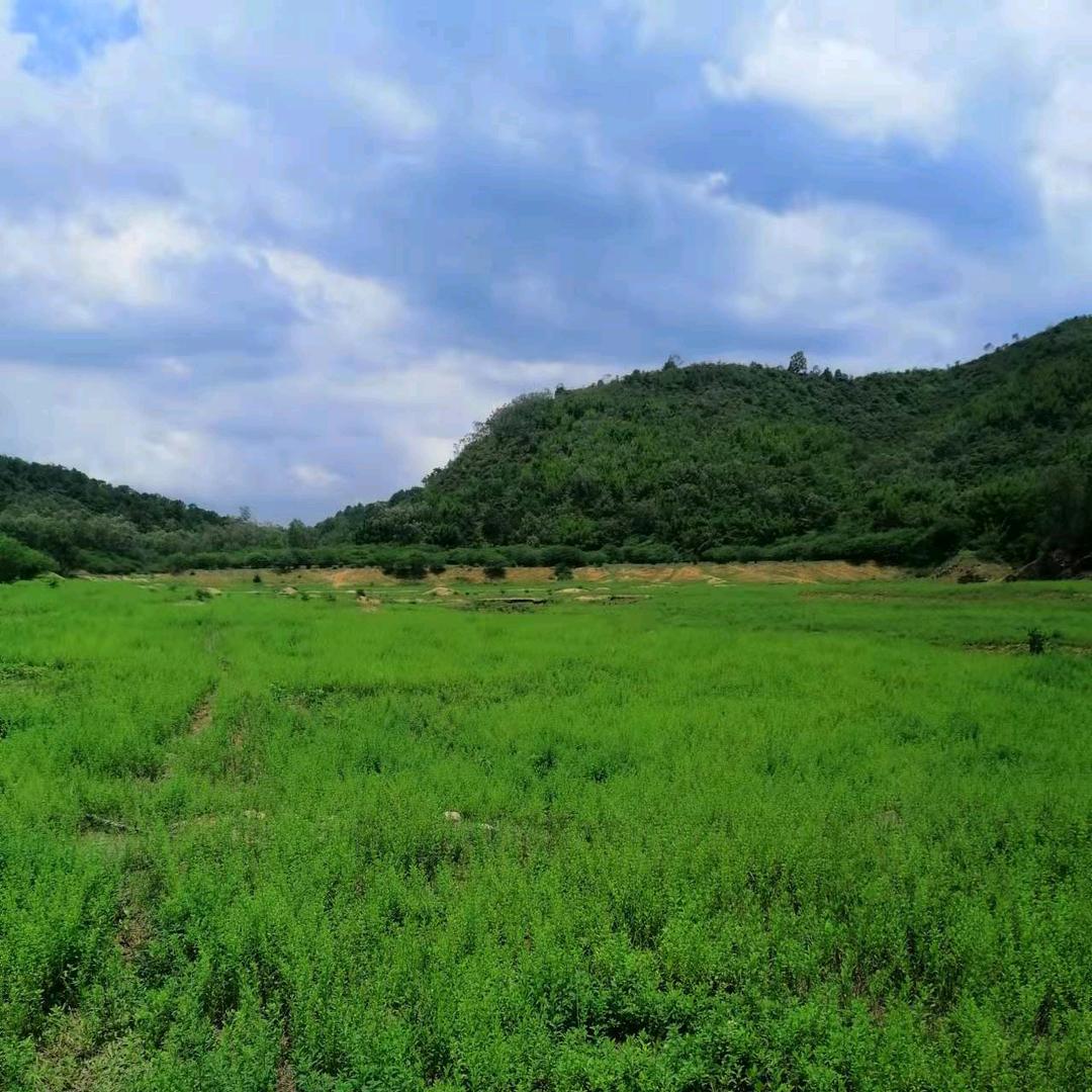 潮州荣哥