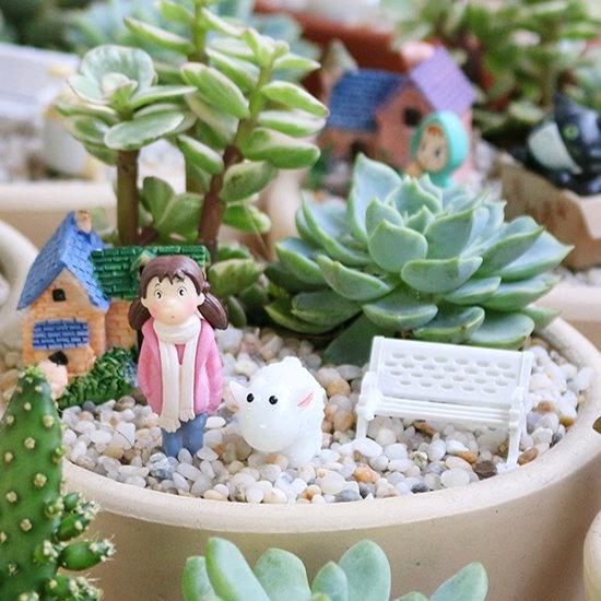 多肉DIY创意园