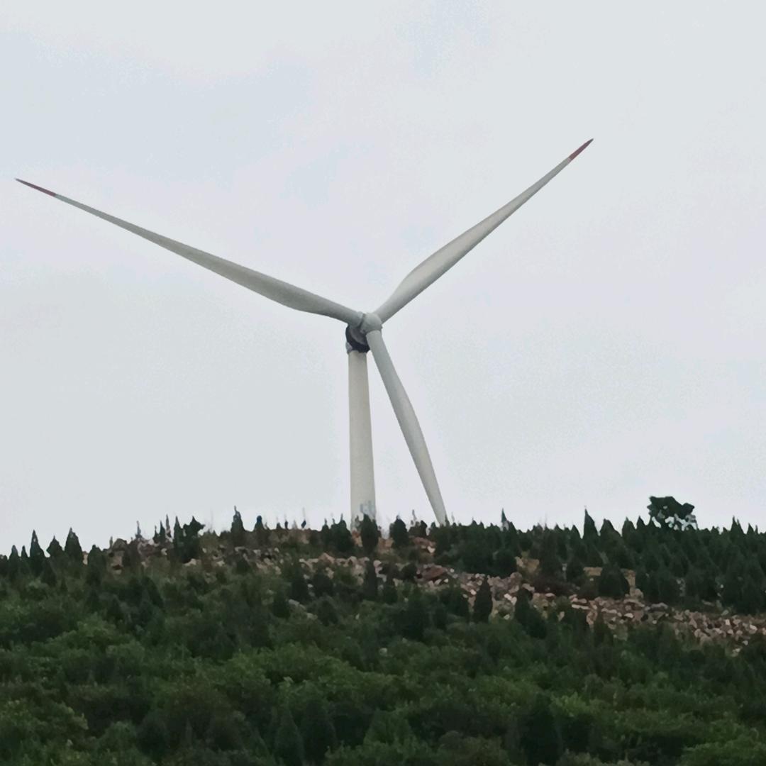 用户代华东2613263606988