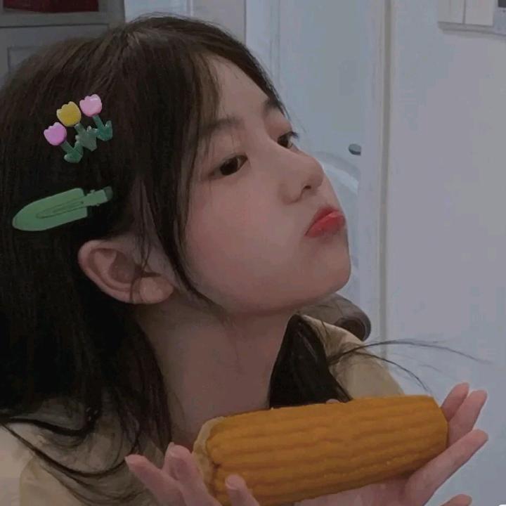 丝绒有猫咪