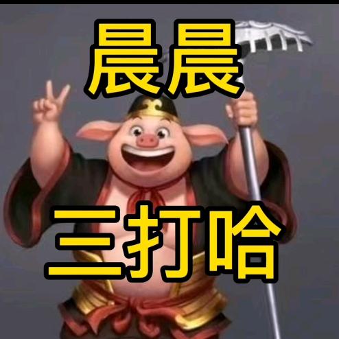 微乐晨晨三打哈