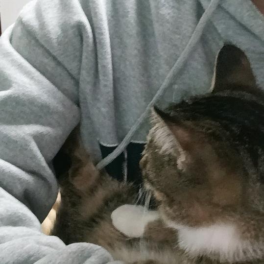 想自由。