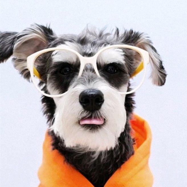 赚够三千万就收手