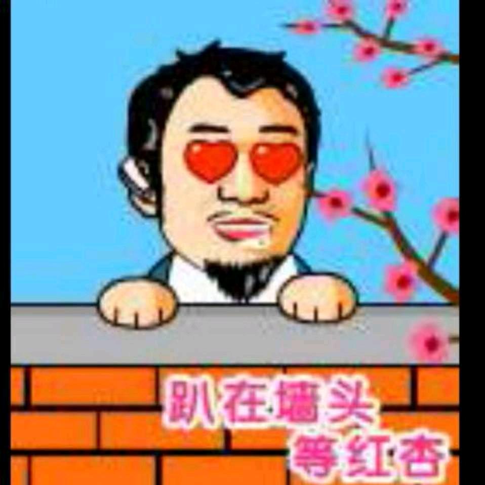 顺飞潇诺