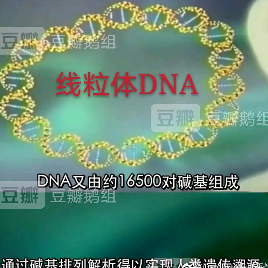 女性之生活频道