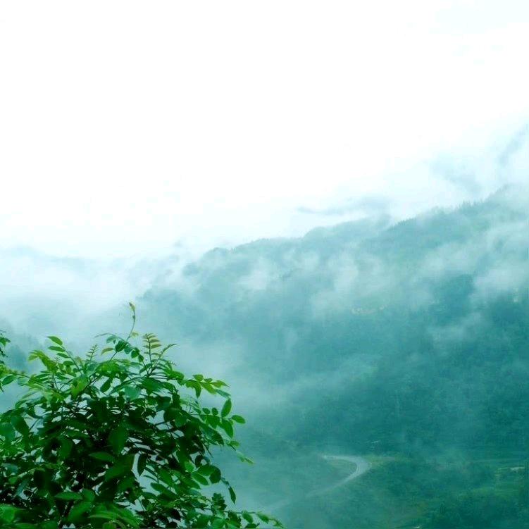 游遍江湖