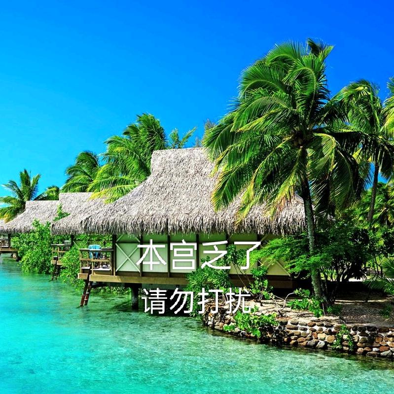 岁月静好🌻