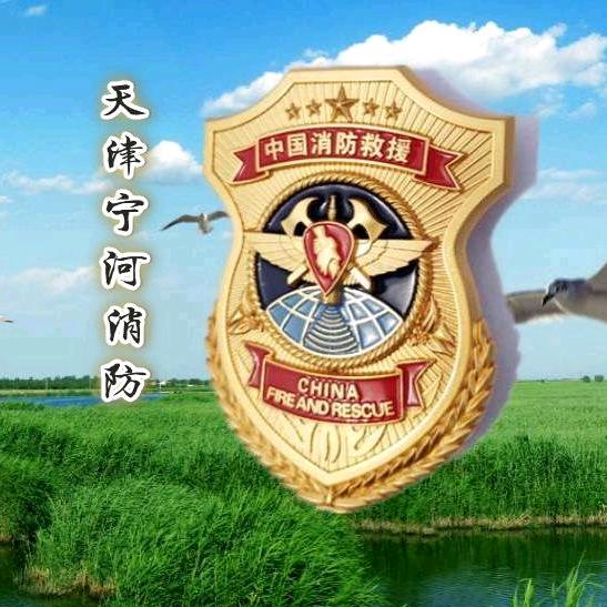 天津宁河消防