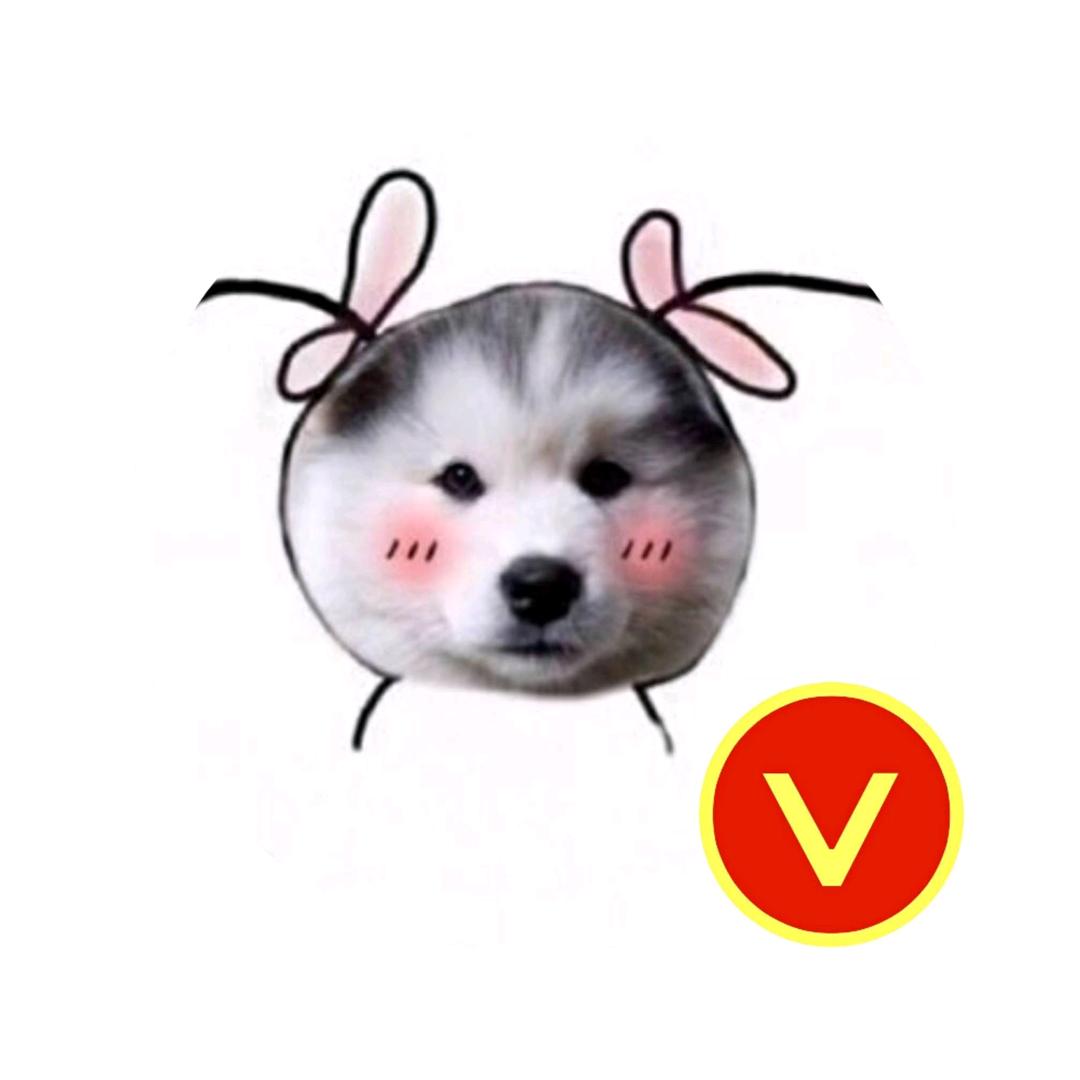 小張同学_Vinhurt