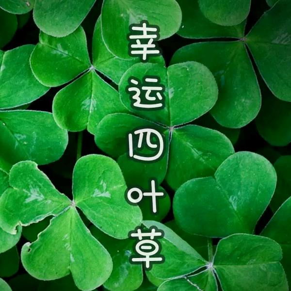 忘不了你！橱窗有你喜欢礼品