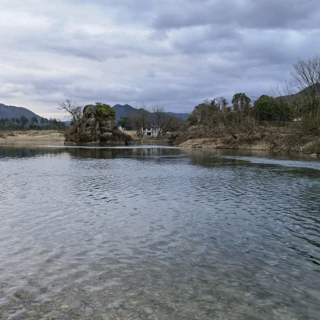 陈若曼