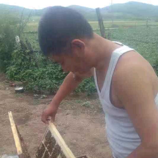 蜂谷记