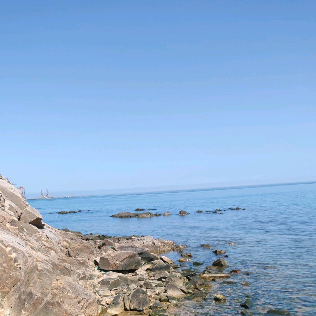 渡心@玄修悟道  威海小号1