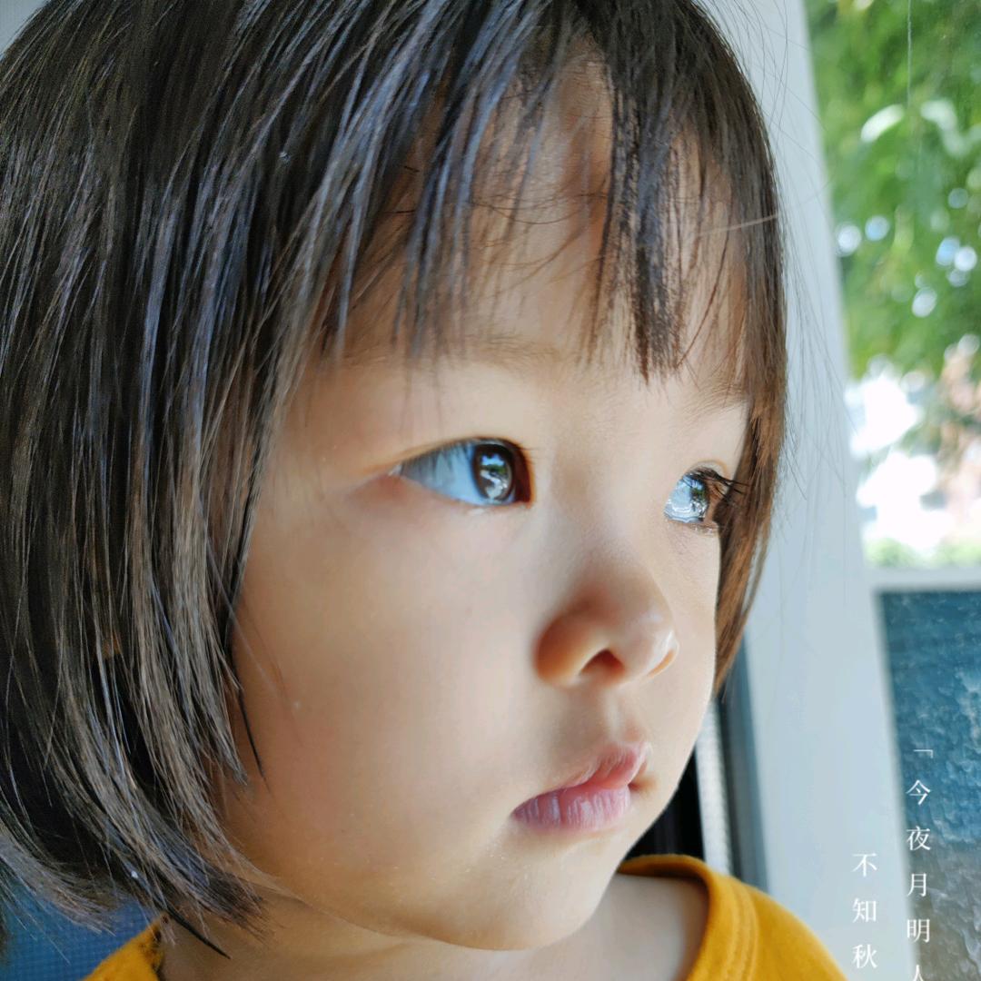 小小风帆
