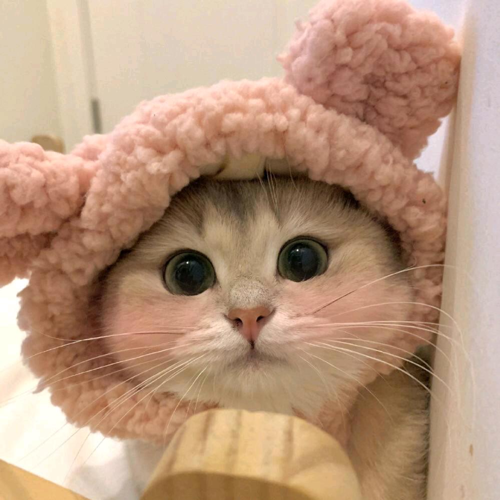 斌哥哥