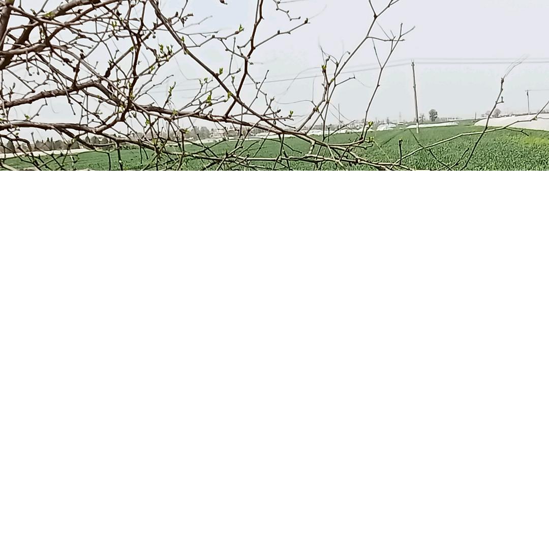 快乐老高