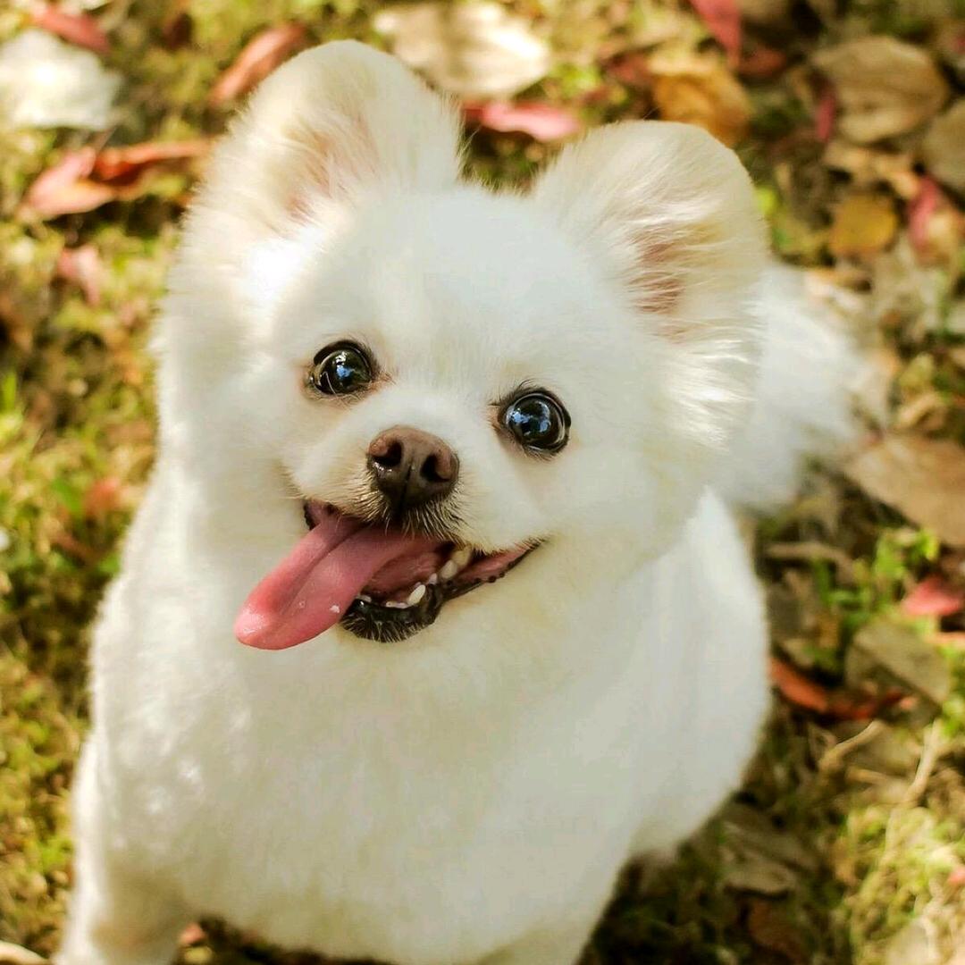 Lucky*瑞瑞
