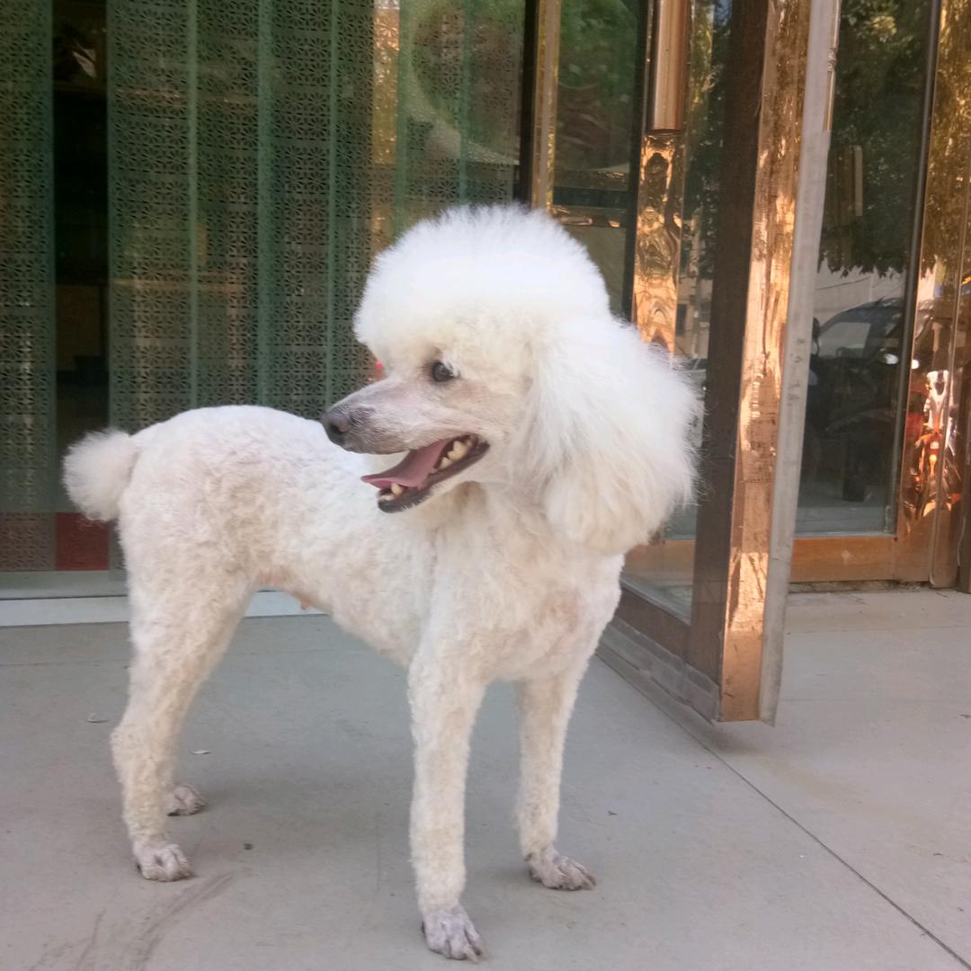 活在当下！！！