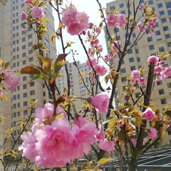 留不住的青春！