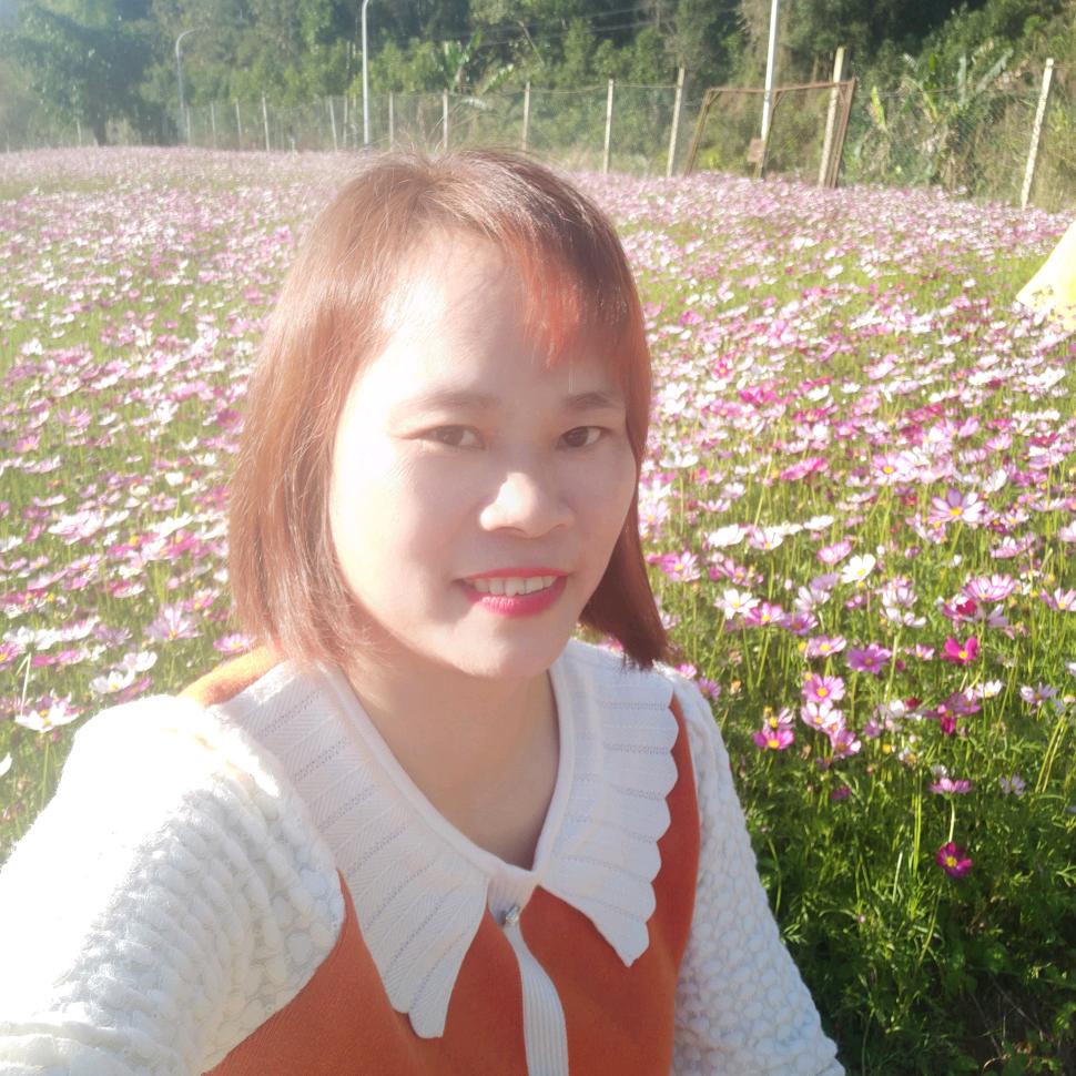 紫荆花开