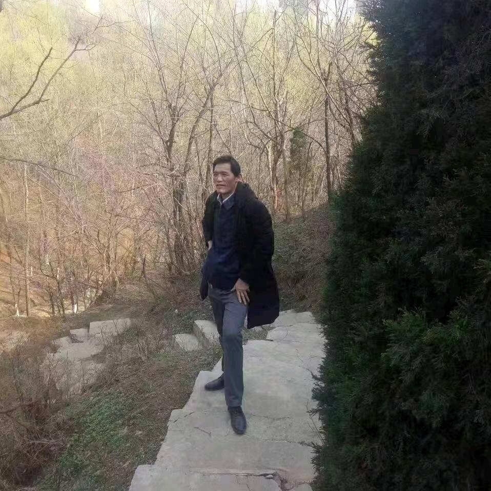 勇敢的心z