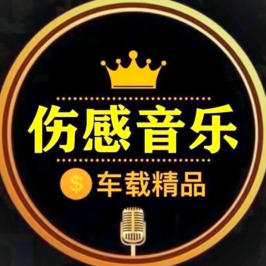 伤感音乐(招会唱歌合作主播）