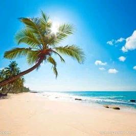 今日分享🏝🎶