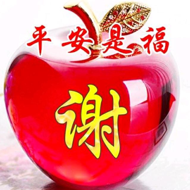 🌸((☀️坪上🤝腦殼☀️))🌸