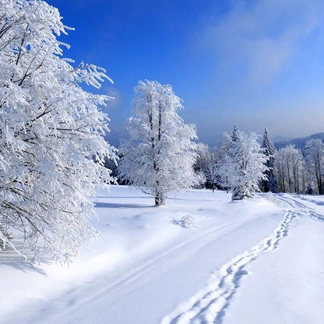 雪花飘飘入我心