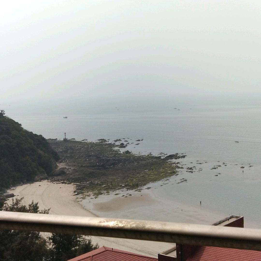 飞翔天空🦢